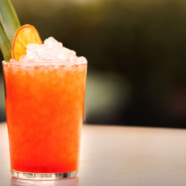 Bar Ms Roof Garden